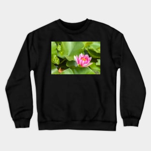 Red Waterlily Crewneck Sweatshirt